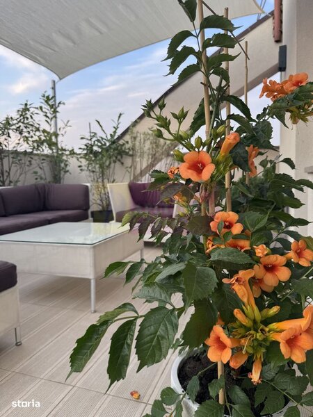 Apartament 3 camere cu terasa 133 mp, Timpuri Noi